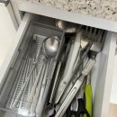 오늘하루 애견 동반 스파펜션 이미지