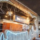 바다를본돼지(서귀포올레시장점) 이미지