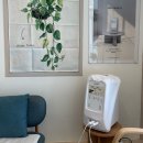 클럽밸런스5 | RE.세라젬 클럽밸런스 5체험 후기｜척추 다이어트·피부 순환관리까지, 온누리 10% 할인 혜택