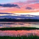 우포늪 생태 사진전 이미지