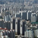 MT공인중개사사무소 이미지