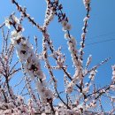완산-22 이미지