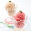 합기도정도관 총본관 이미지