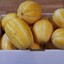 배영농장 이미지