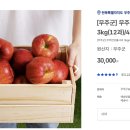 고향과일 | 고향사랑기부제 답례품 추천 (feat. 사과, 딸기 후기 / 과일을 맘껏 먹어보자)