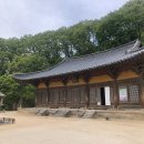 철학, 위로와 지혜가 되다 | 사찰을 걷는다는 것, 깨달음으로 가는 여정