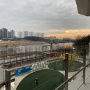 꼬모의 산책 이미지