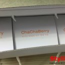 차차베리 이미지