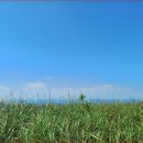 병기목장 이미지