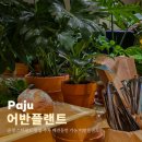 한국플랜트 | 운정 스타필드 맛집 주차 애견동반 가능 어반플랜트