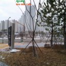 아름동스포츠센터 이미지