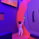 ALO고척아이파크몰점 | [고척 아이파크몰] 캘리클럽 후기 (주차/가격/앱/이용꿀팁)