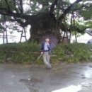 하얀파도 민박 이미지