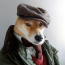 개폼난다 이미지