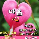 마음은 팔수도 살수도 없는 것이지만 줄 수 있는 보물입니다. ＜再＞ (유인호 제공) 이미지