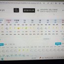 진부3 Daum카페