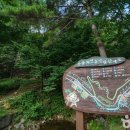 산삼자연휴양림(함양) | 반려견 동반 여행지 추천｜함양 산삼자연휴양림