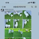 보들보들 유치원 네이버블로그