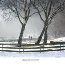 정동진제이 이미지