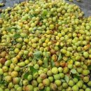 용래농장 이미지