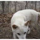 복실농장 이미지