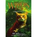 가람비디오 이미지