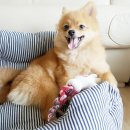 끼리끼리 이미지