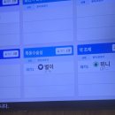 키움 동물병원 | [파충류] 이제야 쓰는 크레스티드게코 중성화 후기