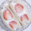 단북애청년 이미지