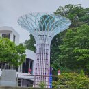 지리산천연허브미