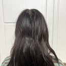 개인(김영대) | 탈모샴푸1위로 유명한 김영대 샴푸, 직접 써본 먼프리 맥주효모 단백질샴푸 후기