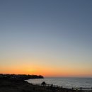 민주댕이 이미지