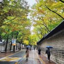 고하이외과의원 이미지