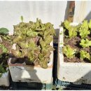 행복한방문요양센터 이미지