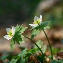 계곡이야기 이미지