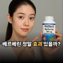 meta plant | 베르베린 효능·효과, 다이어트·간·당뇨·피부에 정말 효과 있을까?