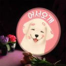 어서오개 이미지