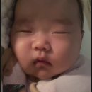 자담치킨오창1