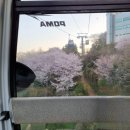 하멜전시관(동해상사 건너) | [여수 뚜벅이여행] 여수 해상케이블카 _해질녘 일몰 시간, 돌산공원 여수밤바다 야경명소