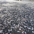 사랑- 아름다운 우 이미지