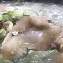 아리랑도가니탕