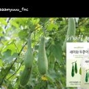 두콩식품 이미지