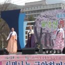 김제 금산사 벚꽃축제 이미지