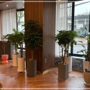 무극안경 강남서초점 이미지