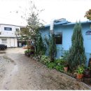 가평낚시터 이미지