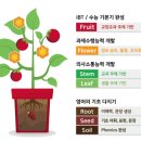 루시드어학원