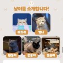 팝콘하우스펜션1 이미지