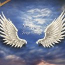 점프윙스 줄넘기 클럽&태권도장 이미지