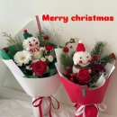 모짜르트음악학원 이미지