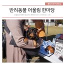 [후원행사] 2018 문화도시 오픈스쿨 | 2018 의정부시민과 함께 하는 반려동물 어울림 한마당 후기!